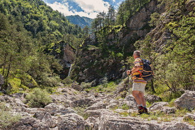 Rear view of woman standing on rock against trees