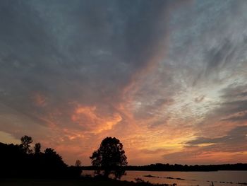 Silhouette trees on landscape against dramatic sky