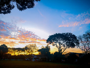 Silhouette trees on field against sky during sunset