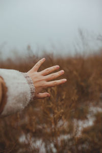 Cropped hand of woman on field