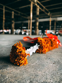 Close-up of orange marigold flowers on railroad track