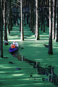 People in lake