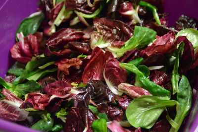 Close-up of served food