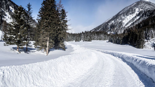 Snow covered land and trees against sky