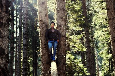 Man standing by tree trunk in forest