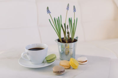 Close-up of coffee served on table