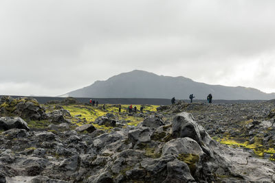 View of amazing landscape in iceland while trekking famous laugavegur trail