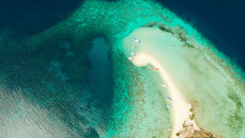 High angle view of sea swimming underwater