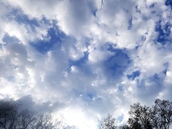 Low angle view of trees against sky