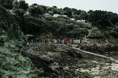 People on rock in forest against sky