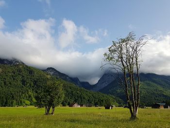 Scenic view of field against sky