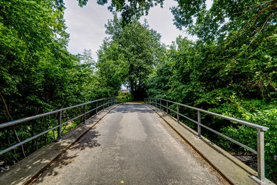 Bridge with metal railings amidst trees