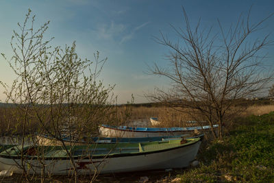 Boats at lakeshore