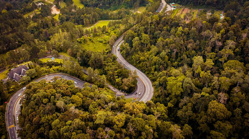 High angle view of road amidst trees