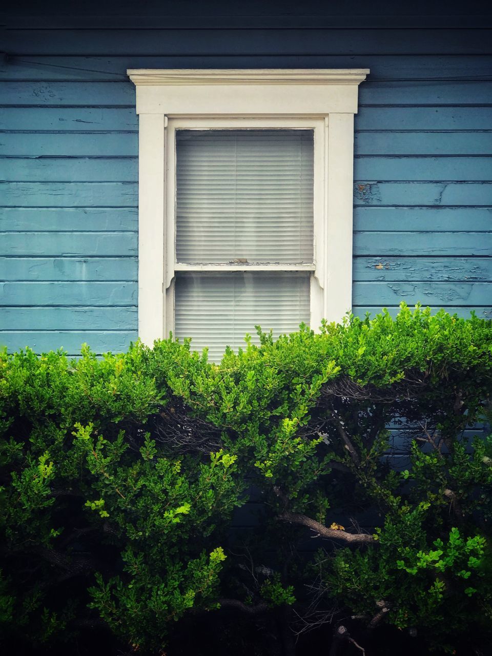 LOW ANGLE VIEW OF CLOSED WINDOW OF HOUSE