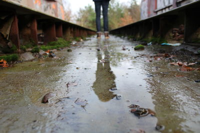 Reflection of built structure in puddle