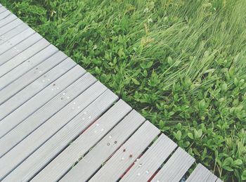 Surface level of wood paneling against plants