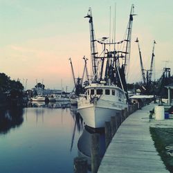 Boats in harbor