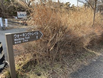 Road sign on field