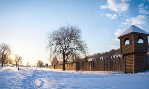 View of snow covered trees in winter