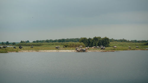 Scenic view of landscape against sky