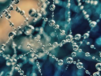 Close-up of water drops on leaf