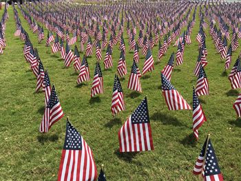 Scenic view of red flags in cemetery