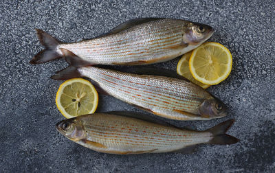 Freshly grayling lies on a gray surface with slices of lemon. preparation for cooking.