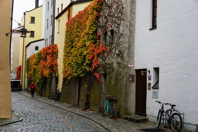 Cars parked on road