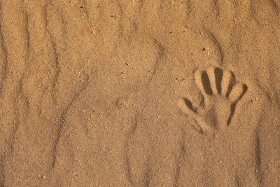 Full frame shot of sand at beach