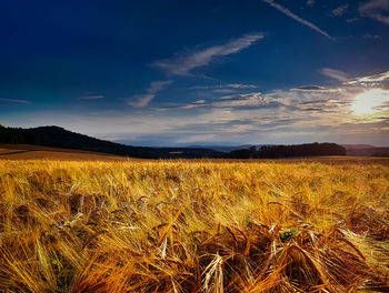 Scenic view of field against sky at sunset