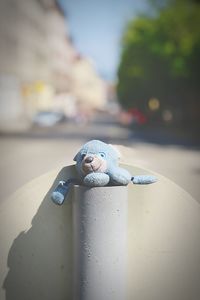 Close-up of bird on metal