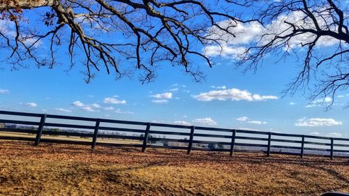 Bare trees on landscape against sky