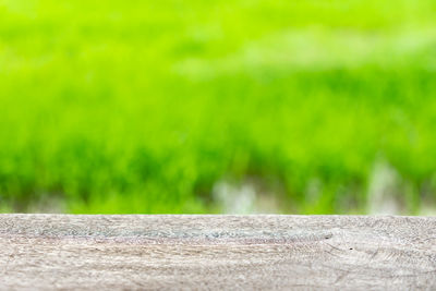 Close-up of retaining wall on field