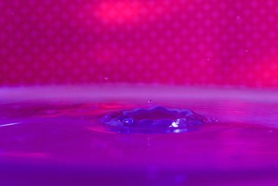Close-up of water drops on pink background