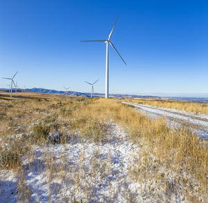 Wind turbines in a field with blue sky