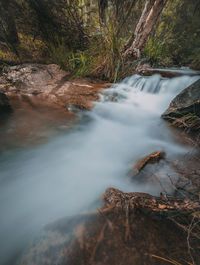 Stream flowing through rocks in forest