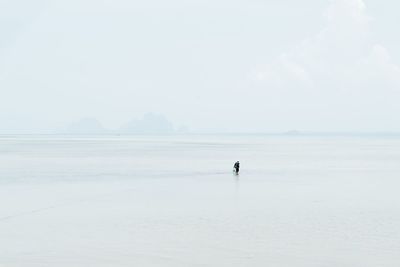 Distant view of man walking in sea against sky during foggy weather