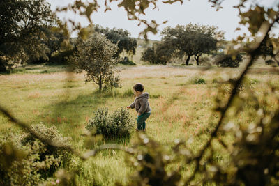 Rear view of boy on field