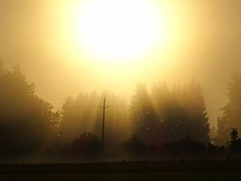 Trees on field against sky during sunset