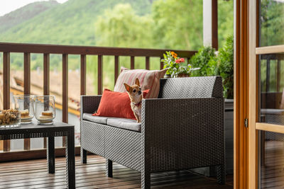 Rear view of woman sitting on chair at home