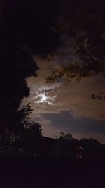 Low angle view of silhouette trees against sky at night