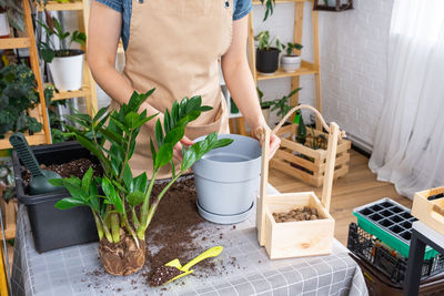 Midsection of woman holding potted plant