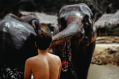 Rear view of man looking at waterfall