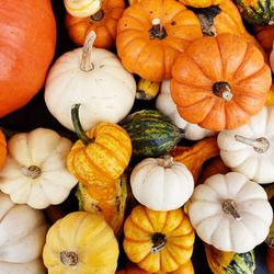 High angle view of pumpkins for sale at market