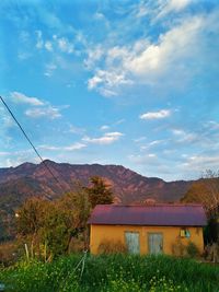 Plants and buildings against sky