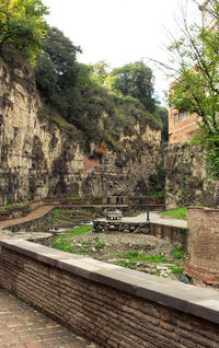 View of trees on mountain