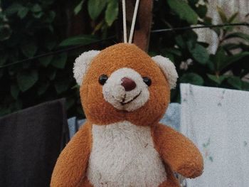 Close-up of stuffed toy