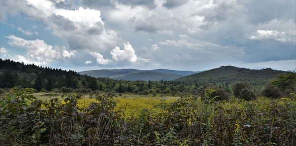 Scenic view of field against sky