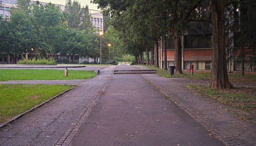 Empty road amidst trees and buildings in city